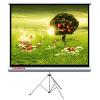CODEGEN (TX-24) (240x200CM) TRIPOD PROJEKSİYON PERDESİ 